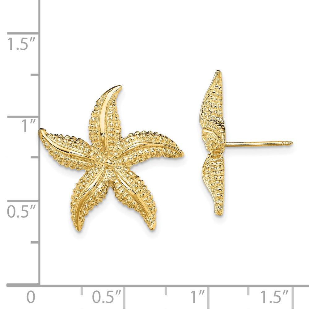 14K Gelbgold 2-d Poliert und Strukturiert Seestern Ohrstecker