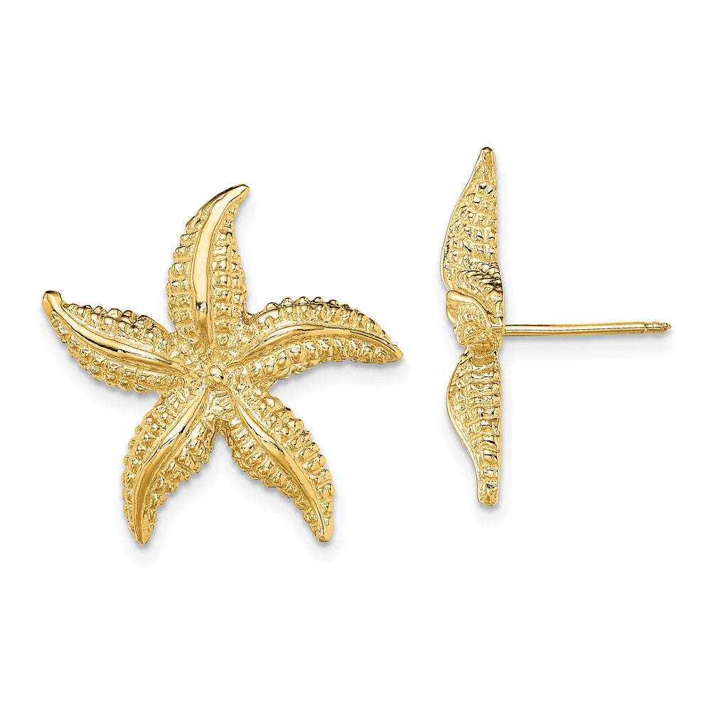 14K Gelbgold 2-d Poliert und Strukturiert Seestern Ohrstecker