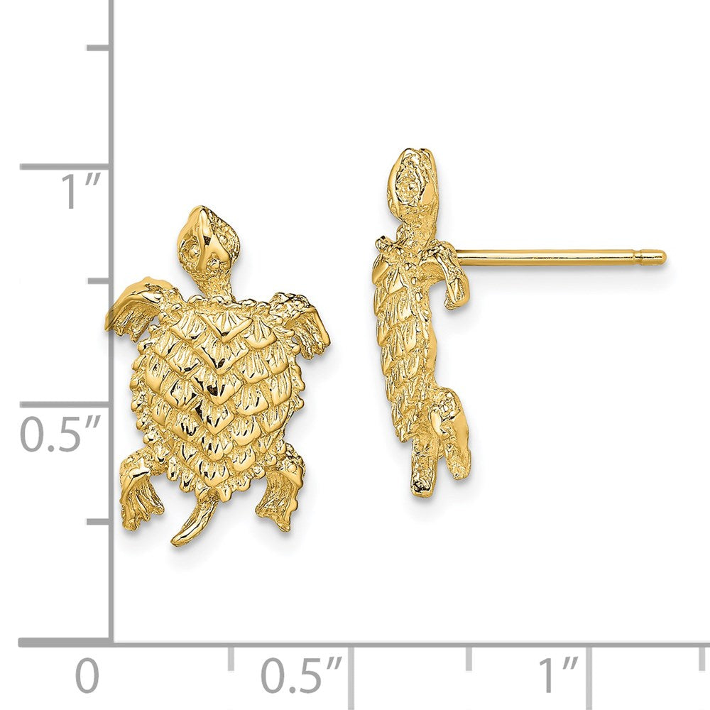 14K Gelbgold Land Schildkröte Strukturiert Ohrstecker