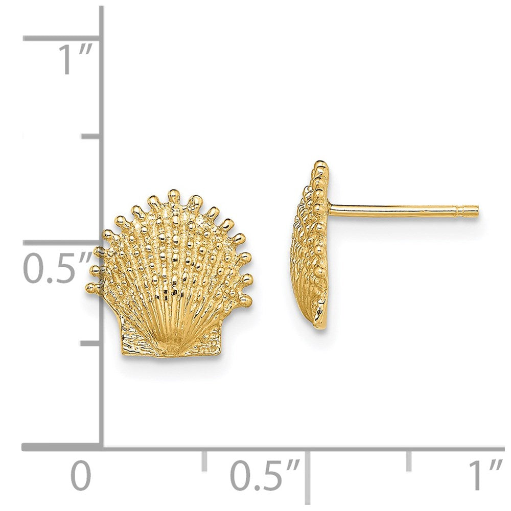 14K Gelbgold Gekugelt Muschel Ohrstecker