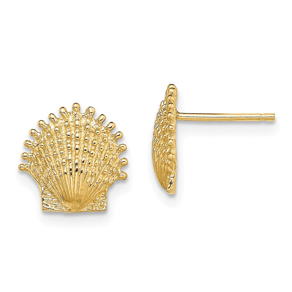 14K Gelbgold Gekugelt Muschel Ohrstecker