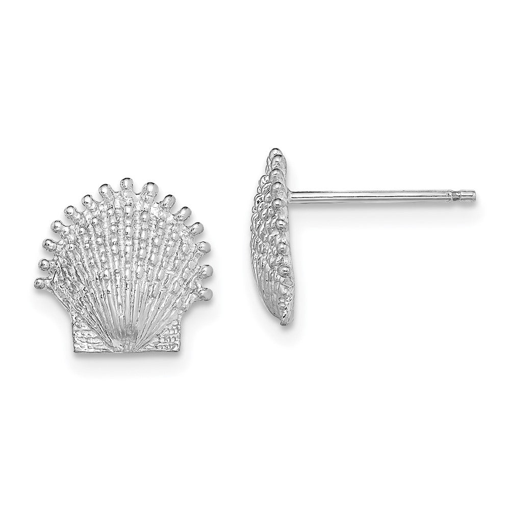 14K Weißgold Gekugelt Muschel Ohrstecker