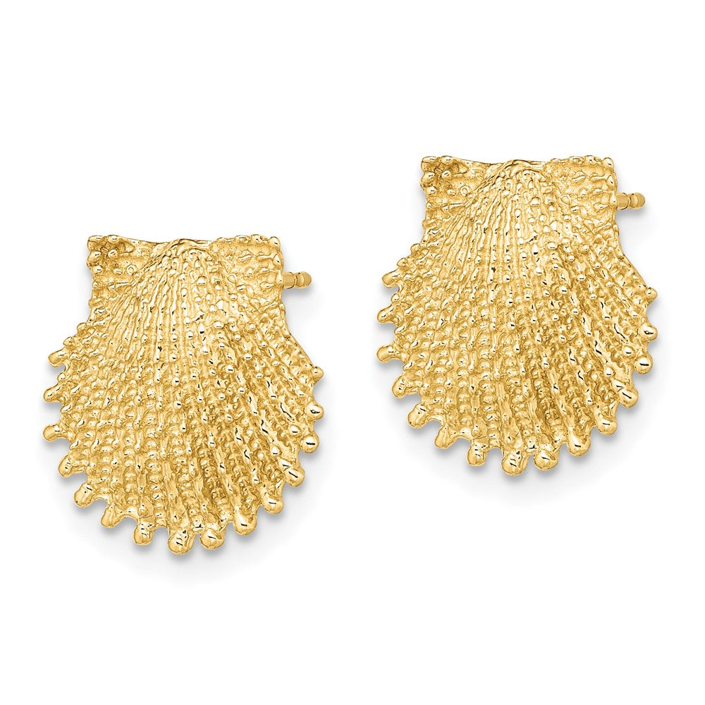 14K Gelbgold Gekugelt Muschel Ohrstecker