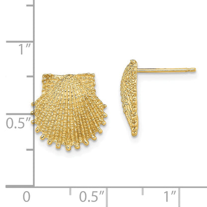 14K Gelbgold Gekugelt Muschel Ohrstecker