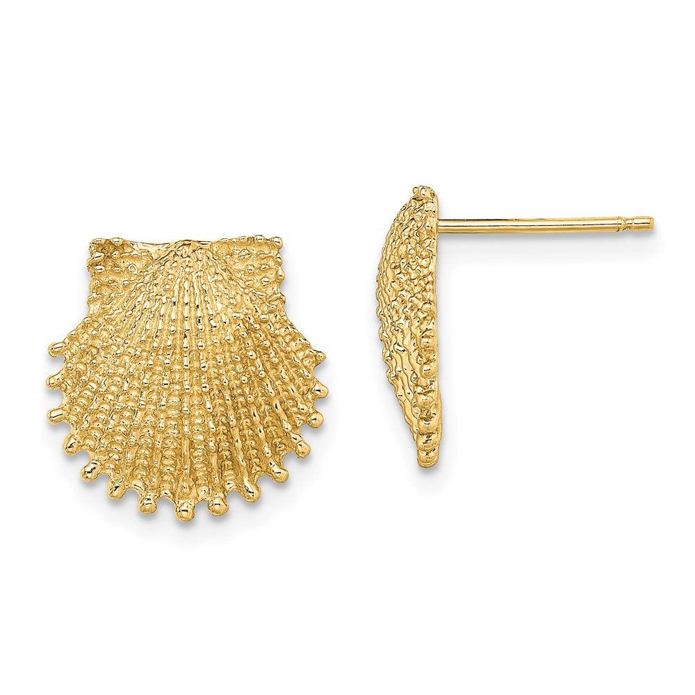 14K Gelbgold Gekugelt Muschel Ohrstecker