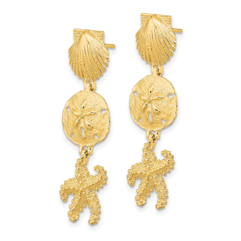 14K Gelbgold Muschel, Sand Dollar,starfish Stecker Ohrhänger