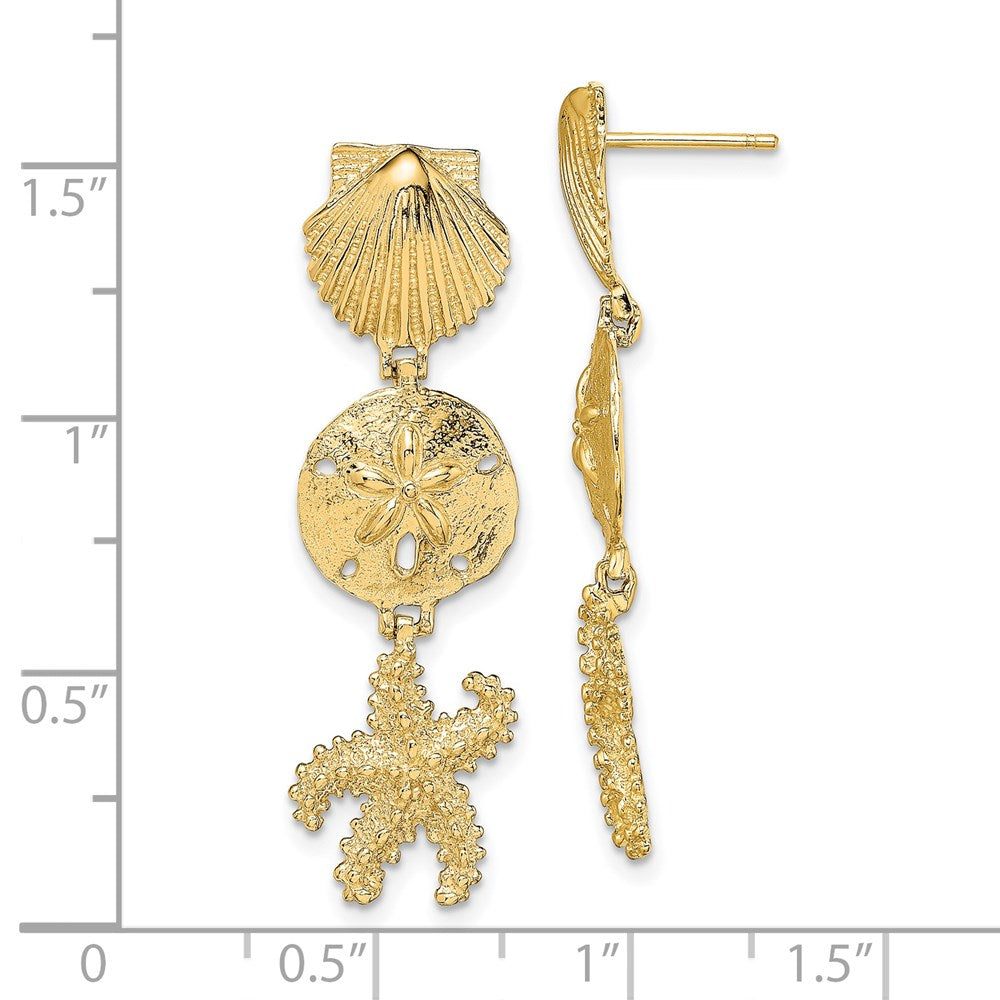 14K Gelbgold Muschel, Sand Dollar,starfish Stecker Ohrhänger