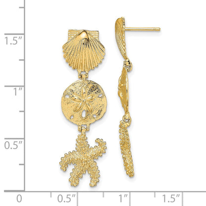 14K Gelbgold Muschel, Sand Dollar,starfish Stecker Ohrhänger