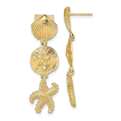 14K Gelbgold Muschel, Sand Dollar,starfish Stecker Ohrhänger