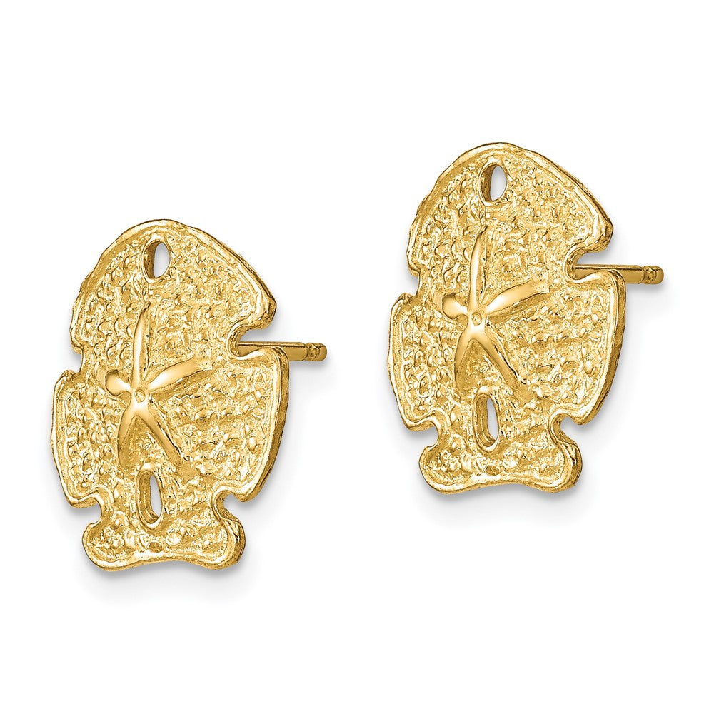14K Gelbgold Strukturiert Sand Dollar Ohrringe