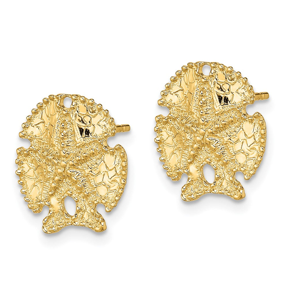 14K Gelbgold Strukturiert Sand Dollar Ohrringe