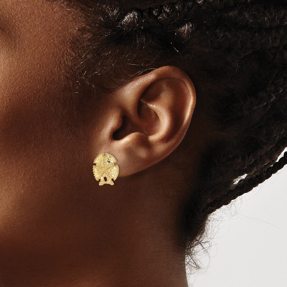 14K Gelbgold Strukturiert Sand Dollar Ohrringe