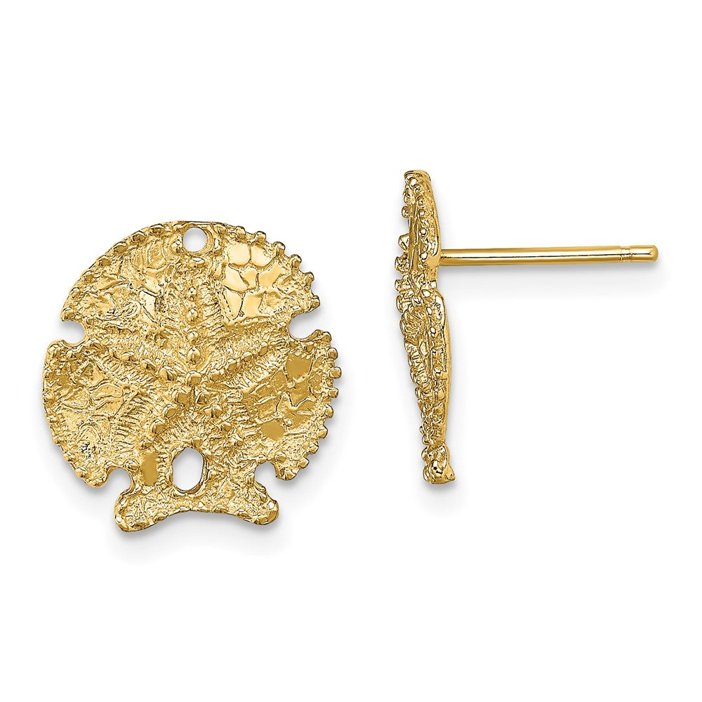 14K Gelbgold Strukturiert Sand Dollar Ohrringe