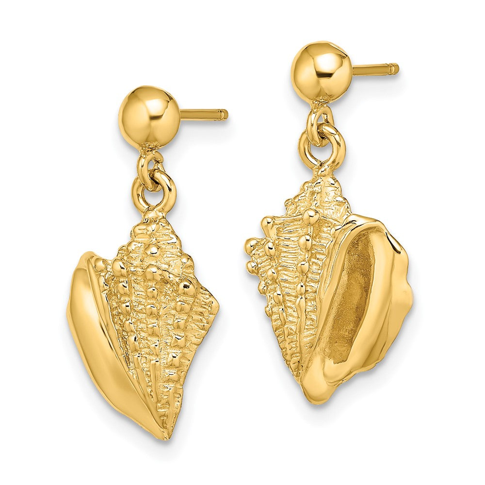 14K Gelbgold Conch Muschel Ohrhänger