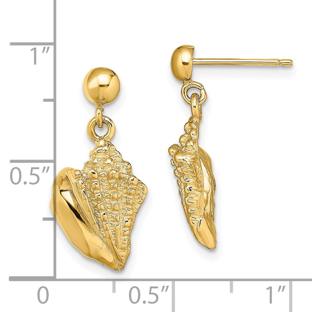 14K Gelbgold Conch Muschel Ohrhänger