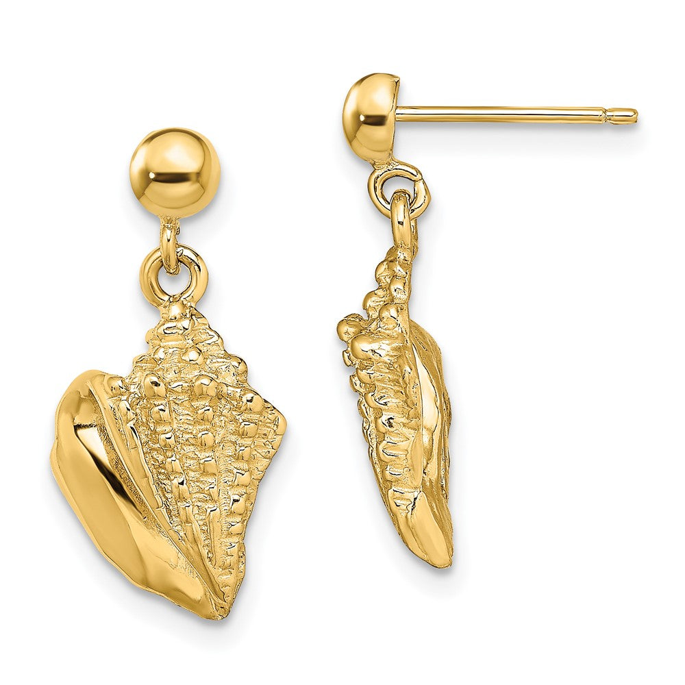 14K Gelbgold Conch Muschel Ohrhänger