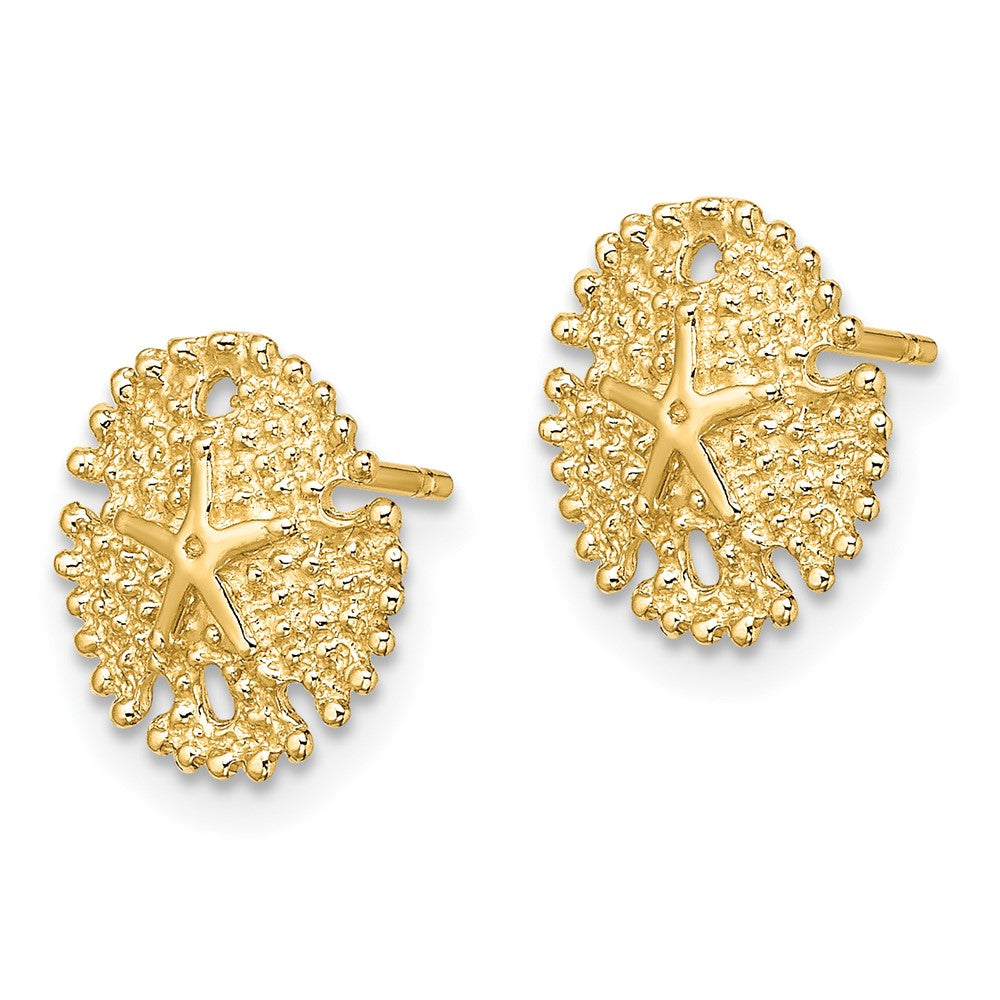 14K Gelbgold Strukturiert Sand Dollar Ohrstecker