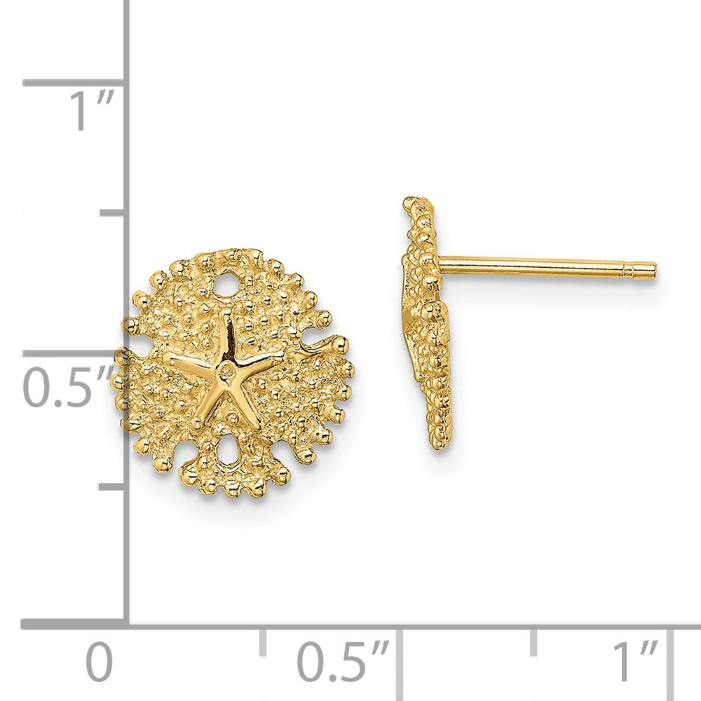 14K Gelbgold Strukturiert Sand Dollar Ohrstecker