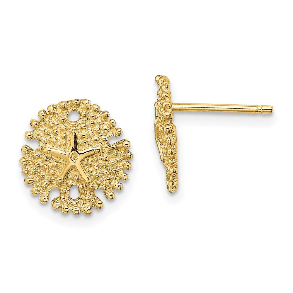 14K Gelbgold Strukturiert Sand Dollar Ohrstecker
