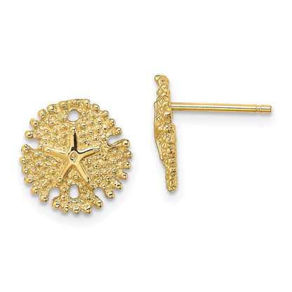 14K Gelbgold Strukturiert Sand Dollar Ohrstecker