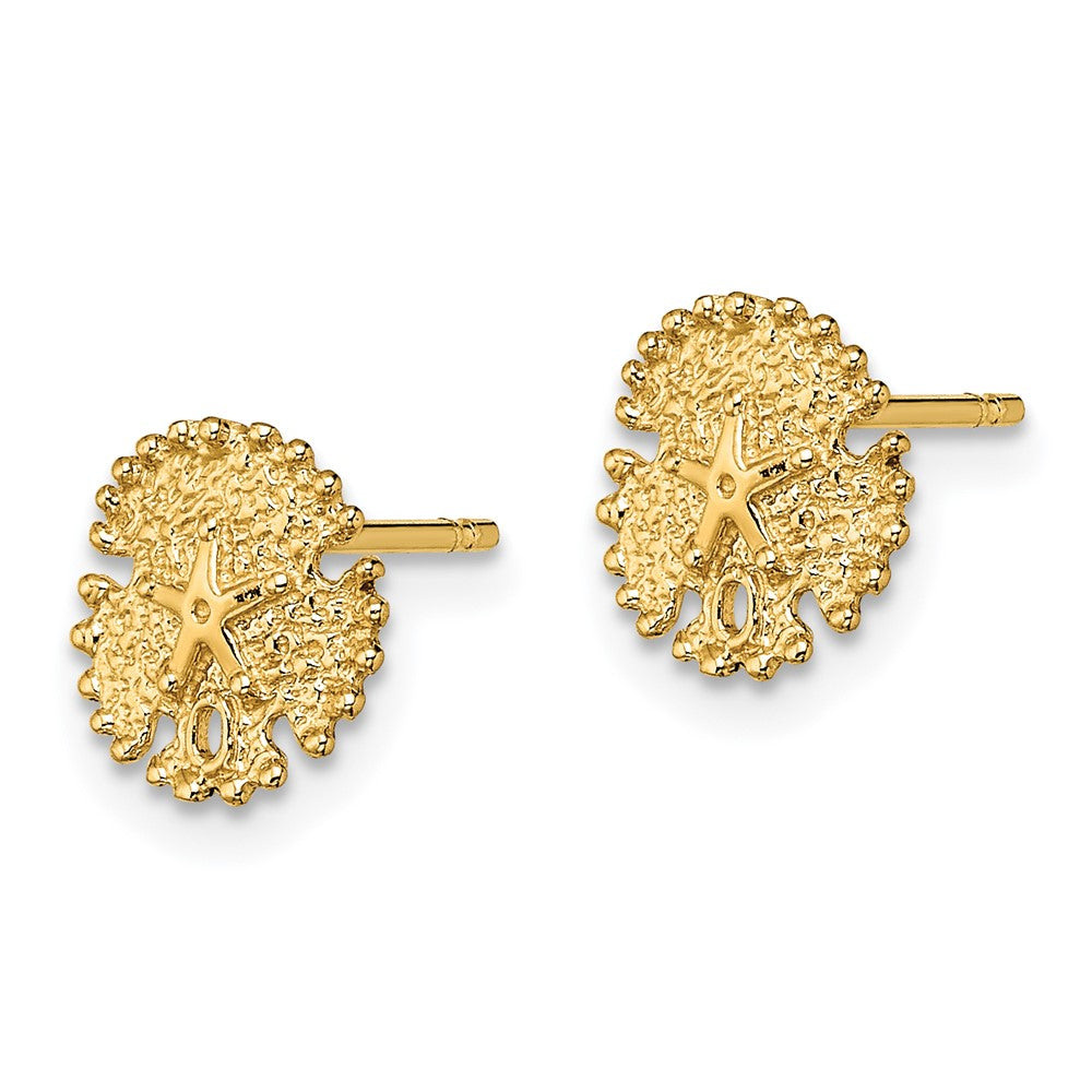14K Gelbgold Strukturiert Sand Dollar Ohrstecker
