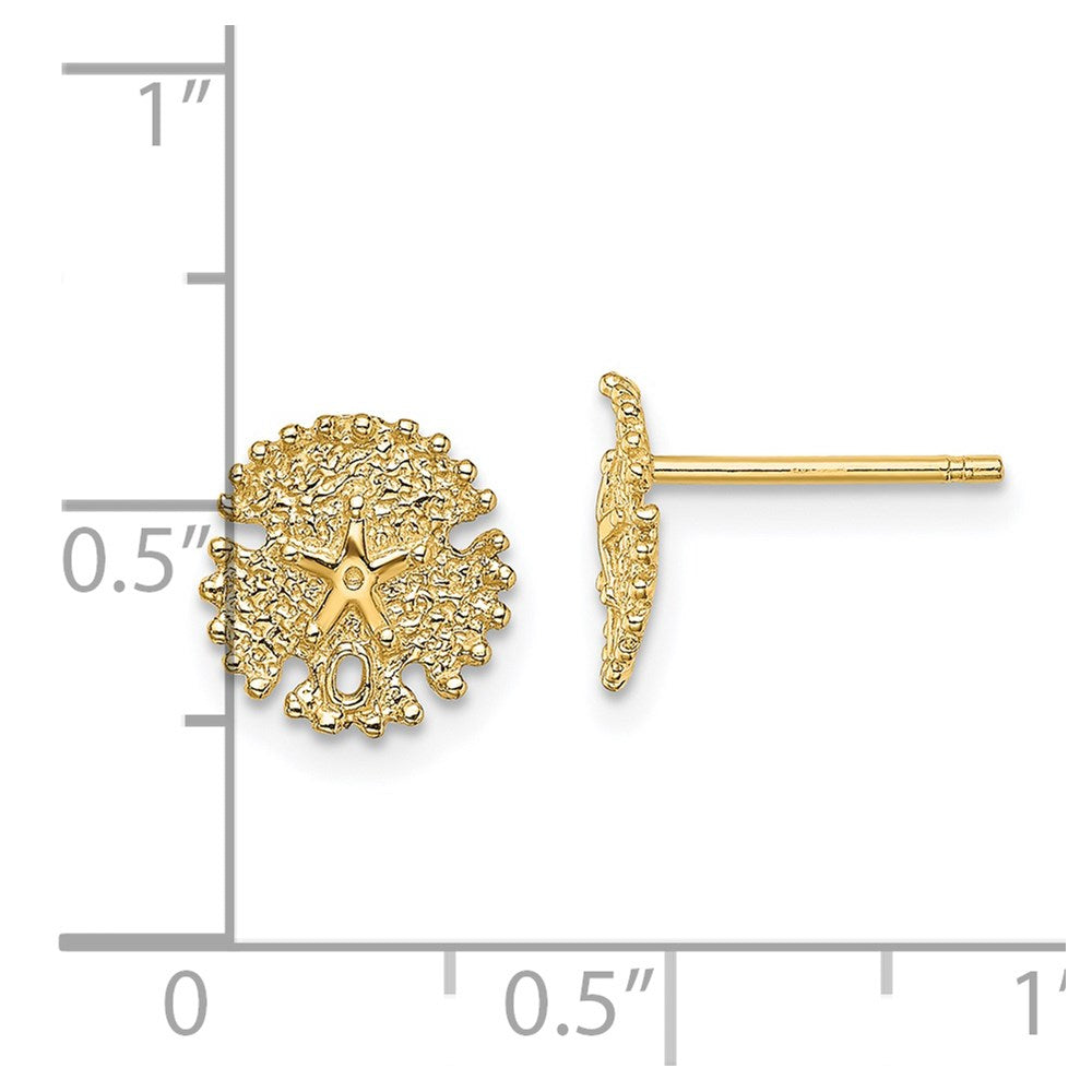 14K Gelbgold Strukturiert Sand Dollar Ohrstecker
