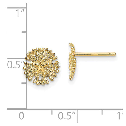14K Gelbgold Strukturiert Sand Dollar Ohrstecker