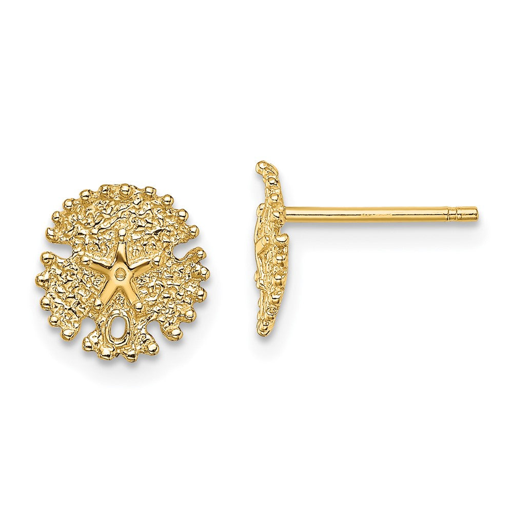14K Gelbgold Strukturiert Sand Dollar Ohrstecker