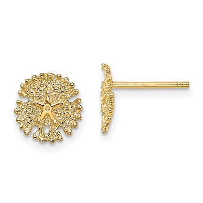 14K Gelbgold Strukturiert Sand Dollar Ohrstecker