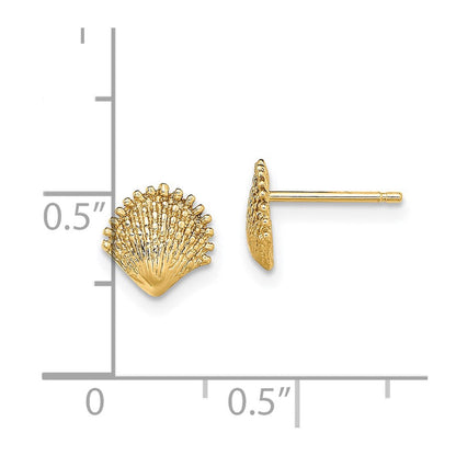 14K Gelbgold Muschel Ohrstecker