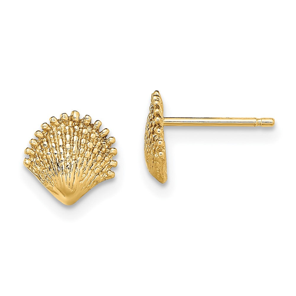 14K Gelbgold Muschel Ohrstecker
