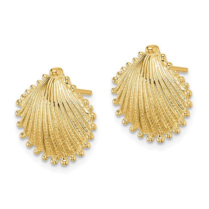 14K Gelbgold Muschel Ohrstecker