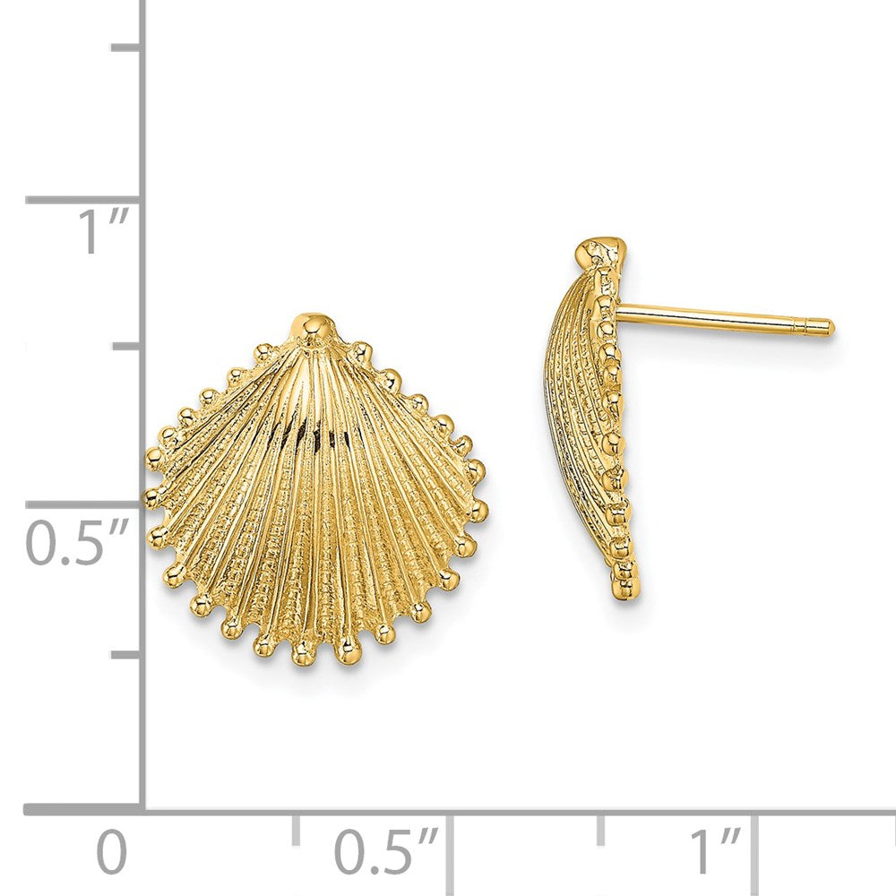 14K Gelbgold Muschel Ohrstecker