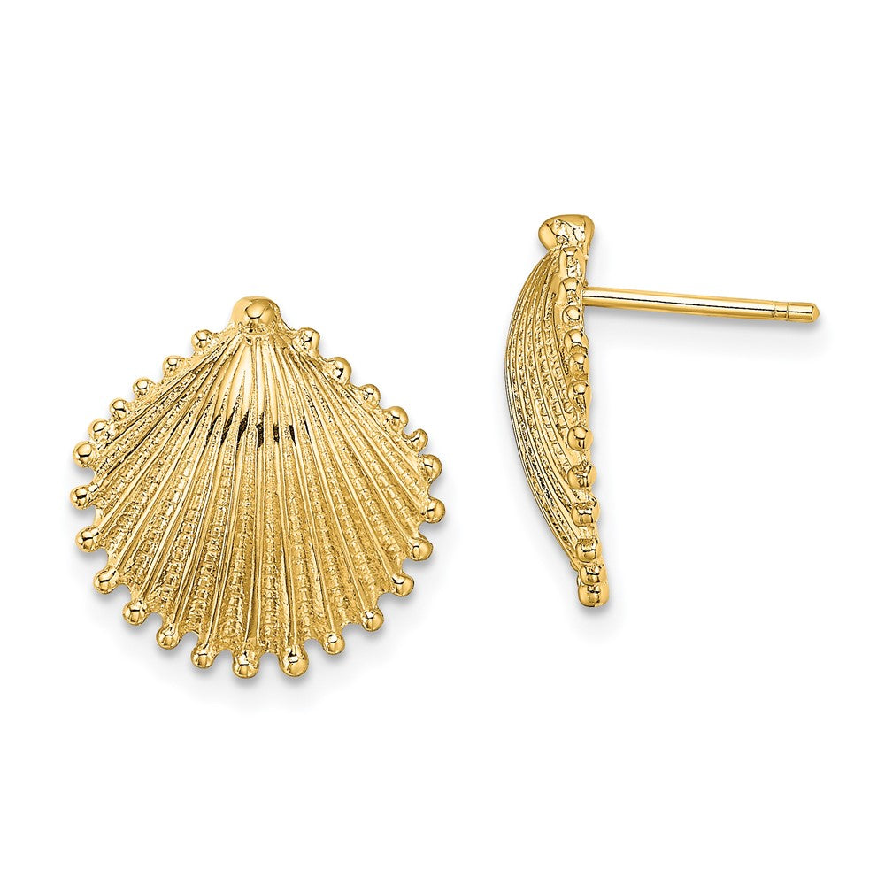 14K Gelbgold Muschel Ohrstecker