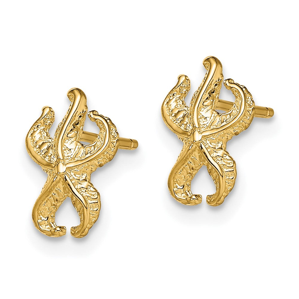 14K Gelbgold Seestern Ohrstecker
