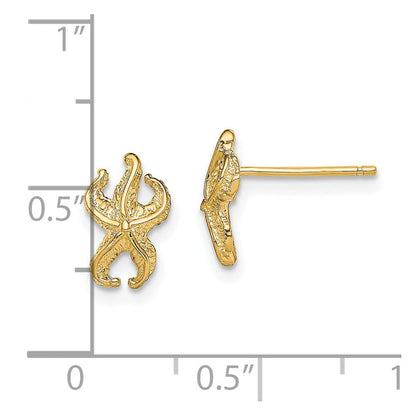 14K Gelbgold Seestern Ohrstecker