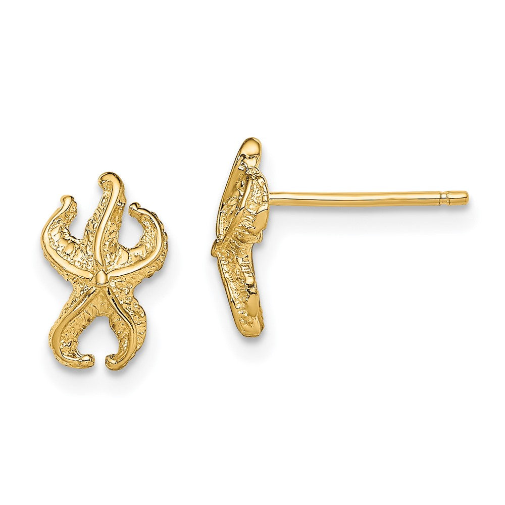 14K Gelbgold Seestern Ohrstecker