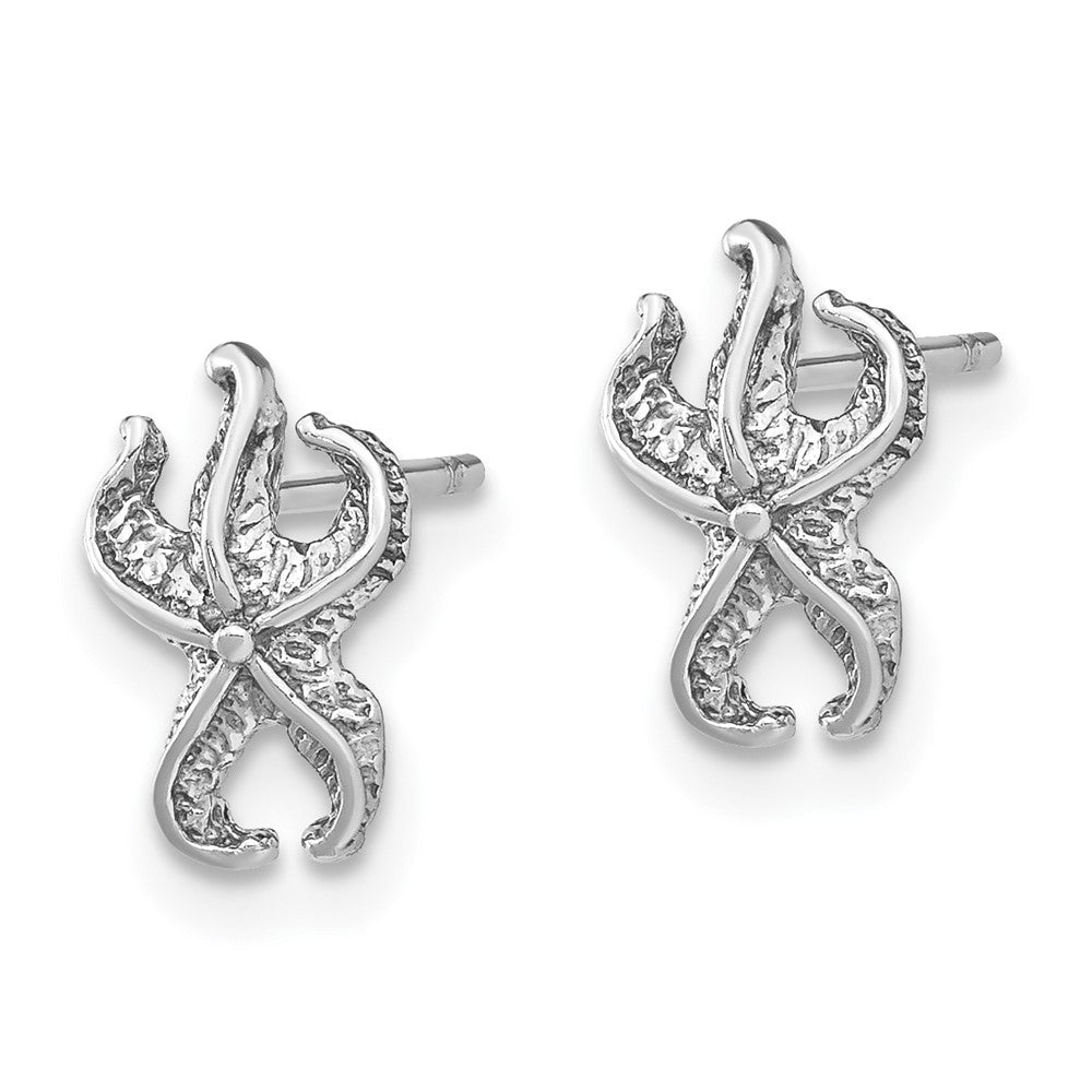 14K Weißgold Seestern Ohrstecker