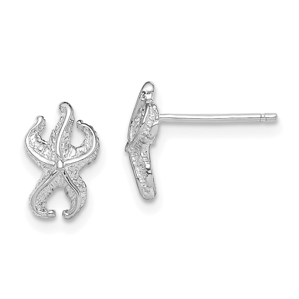 14K Weißgold Seestern Ohrstecker