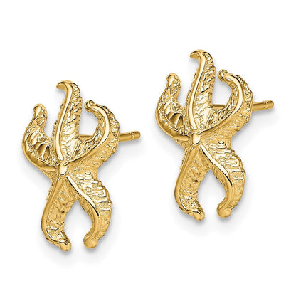 14K Gelbgold Seestern Ohrstecker