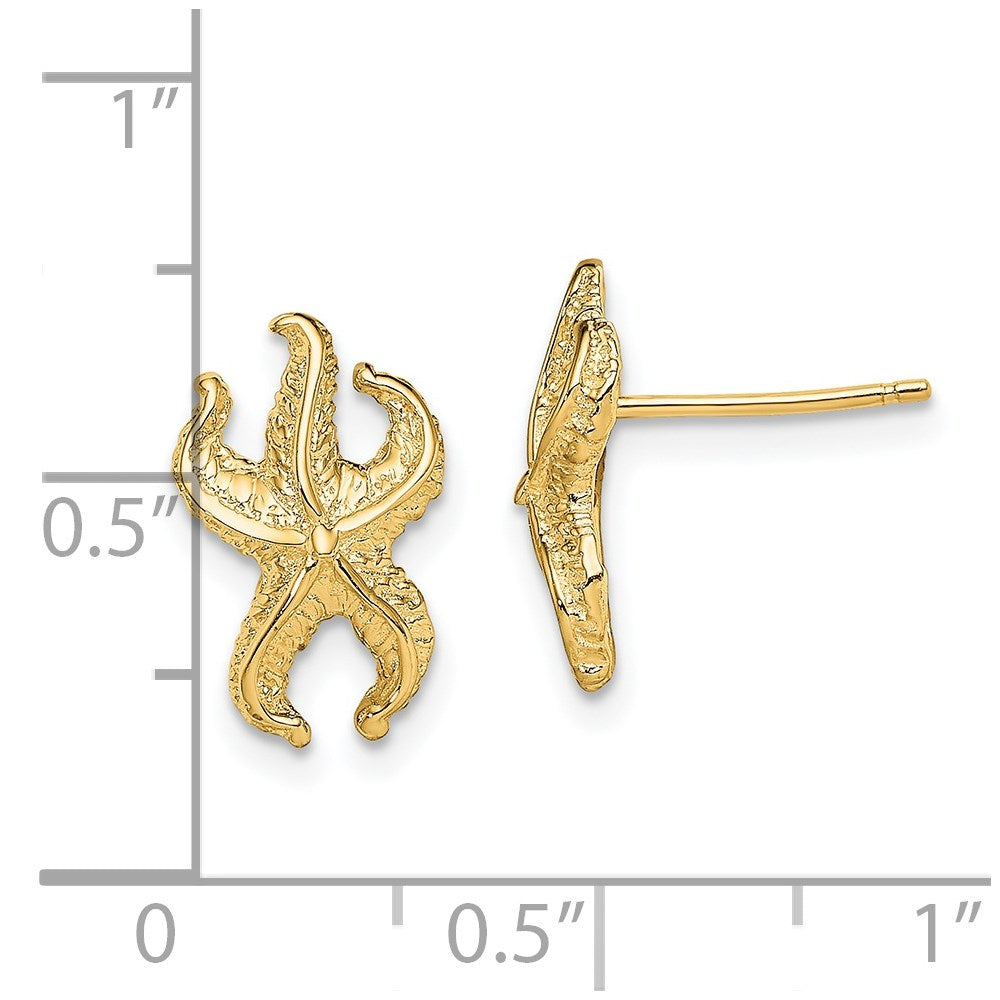 14K Gelbgold Seestern Ohrstecker