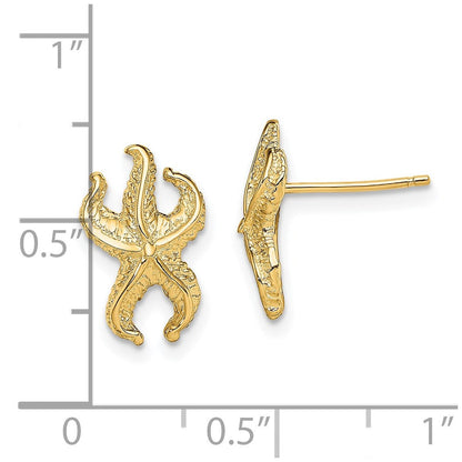 14K Gelbgold Seestern Ohrstecker