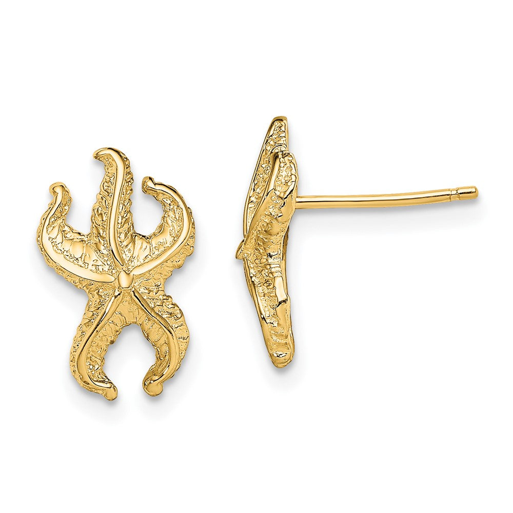 14K Gelbgold Seestern Ohrstecker