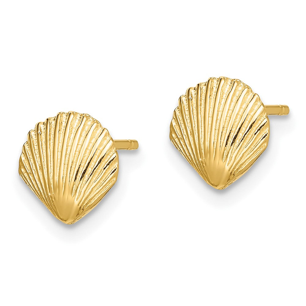 14K Gelbgold Muschel Ohrstecker