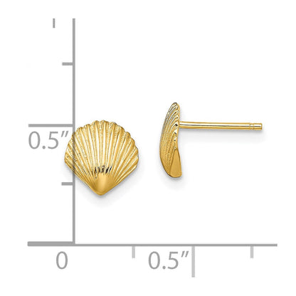 14K Gelbgold Muschel Ohrstecker