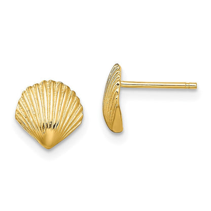 14K Gelbgold Muschel Ohrstecker