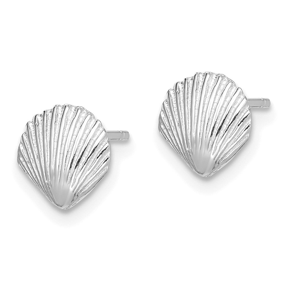14K Weißgold Muschel Ohrstecker