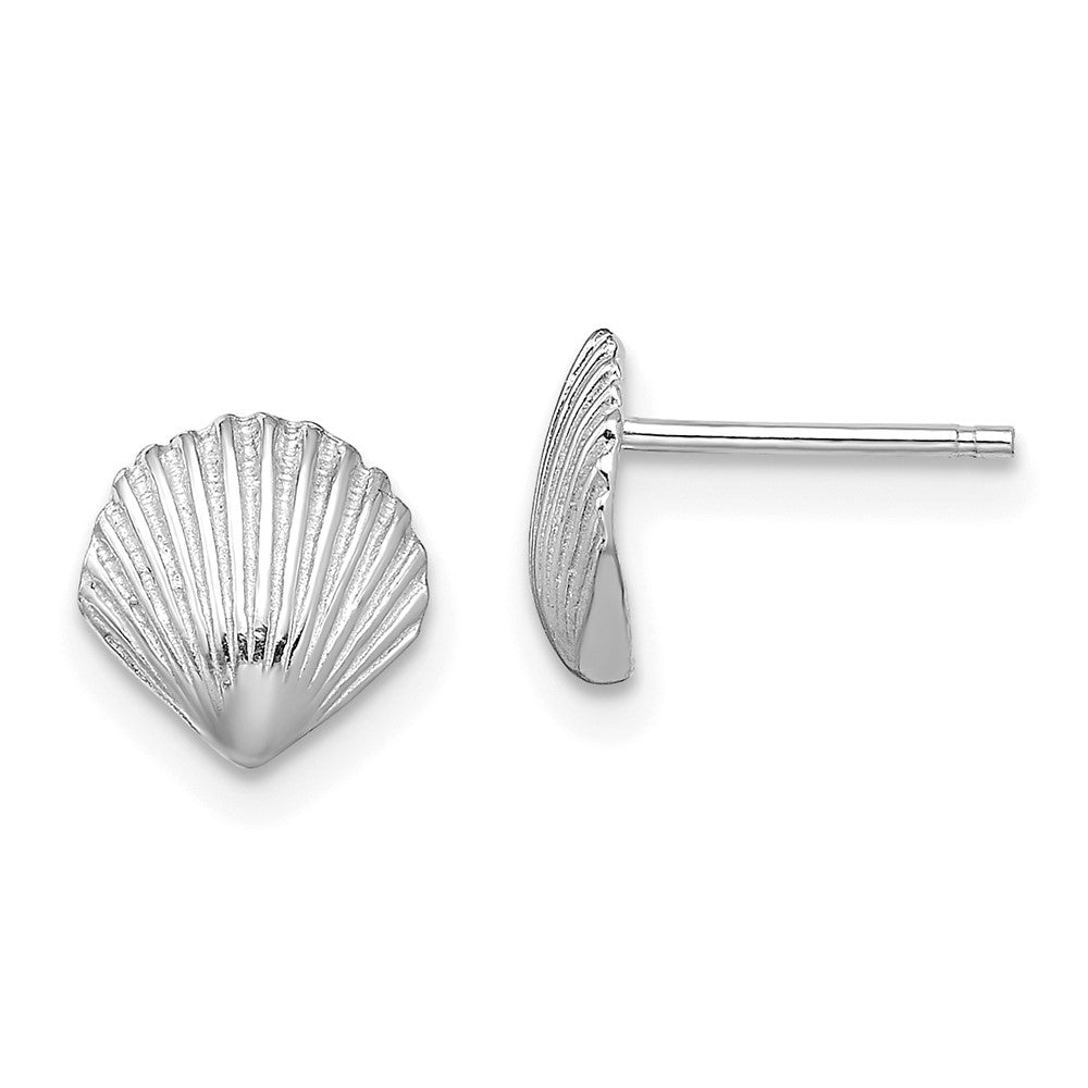 14K Weißgold Muschel Ohrstecker