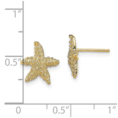 14K Gelbgold Strukturiert Seestern Ohrstecker