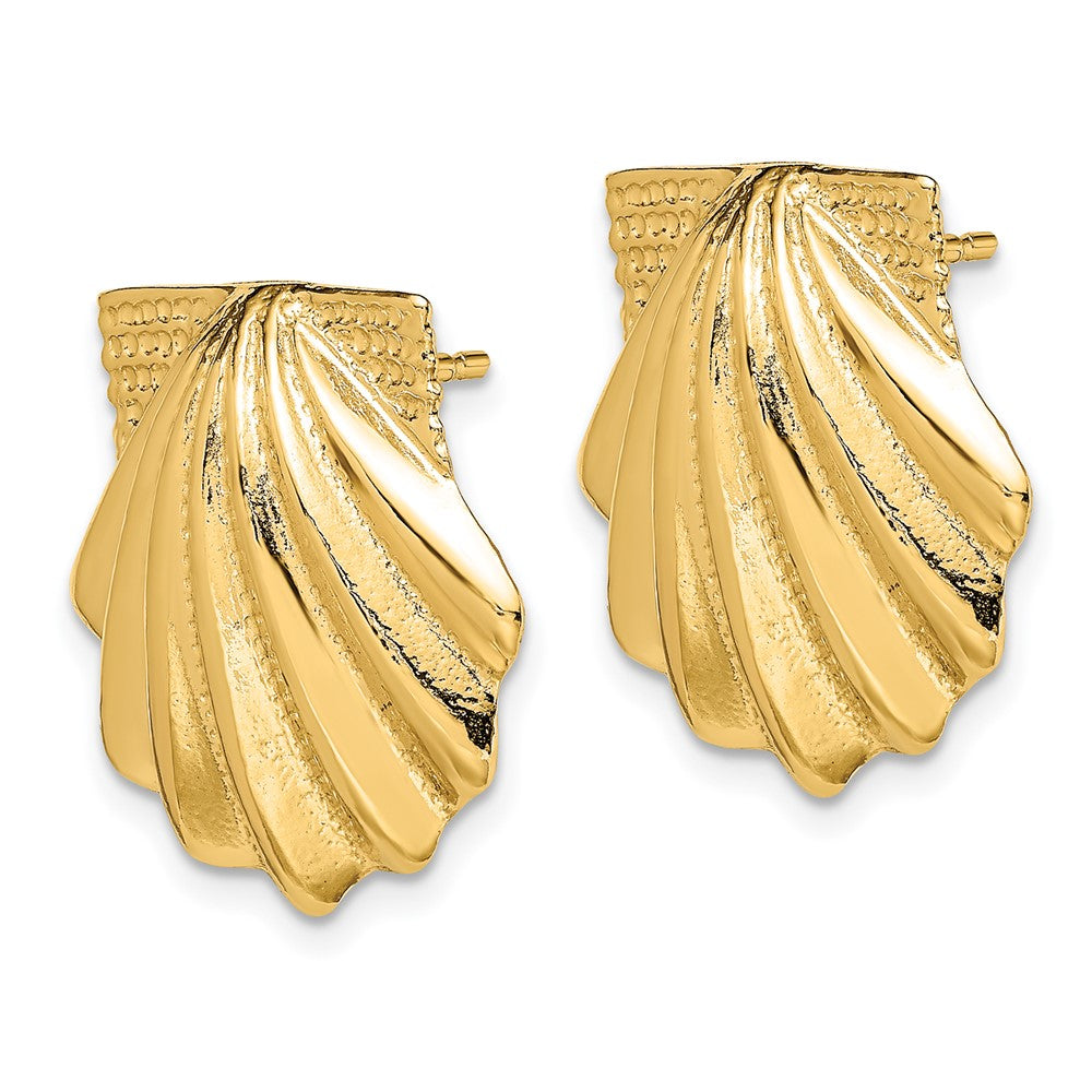 14K Gelbgold Muschel Ohrringe